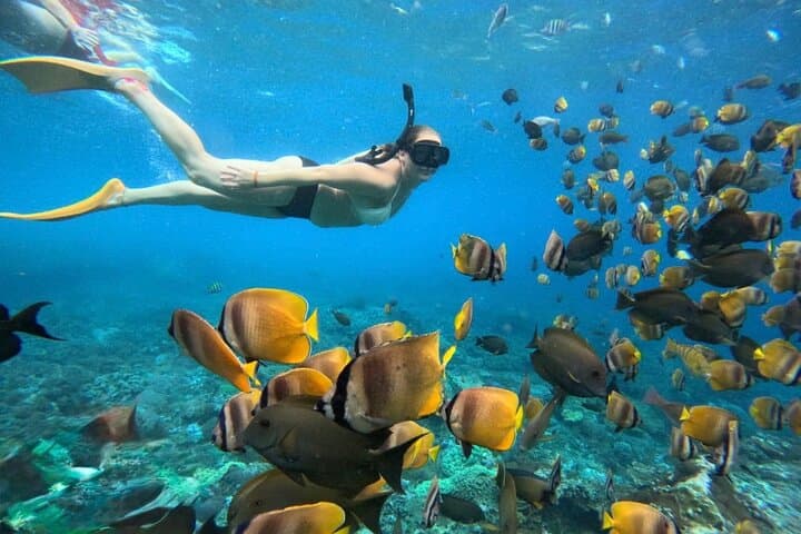 Bali Blue Lagoon Snorkeling: Two-Spot Padangbai Trip with Lunch & Transport