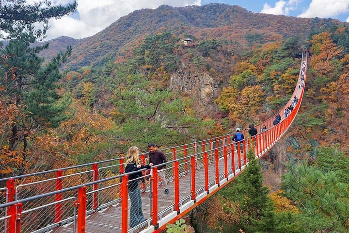 DMZ Guided Tour from Seoul: Dora Observatory, 3rd Tunnel & Suspension Bridge photo 2