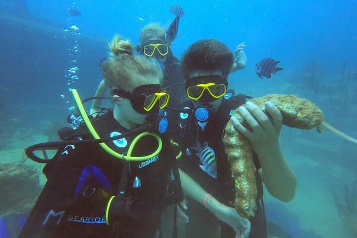 Catalina Island Scuba Diving: Two-Tank Guided Dives from Punta Cana photo 5