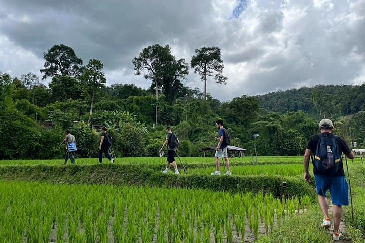 Chiang Mai Day Trek and Bamboo Rafting — Waterfall Swim & Local Market photo 4