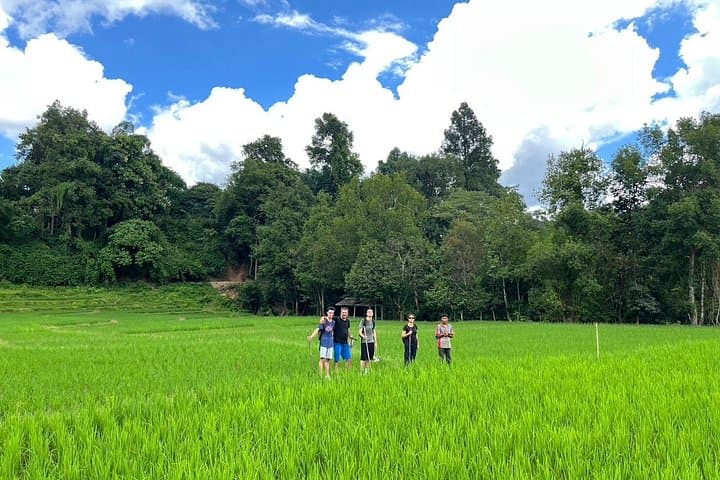 Chiang Mai Day Trek and Bamboo Rafting — Waterfall Swim & Local Market photo 1