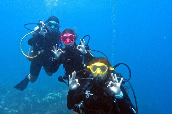 Catalina Island Scuba Diving: Two-Tank Guided Dives from Punta Cana photo 6