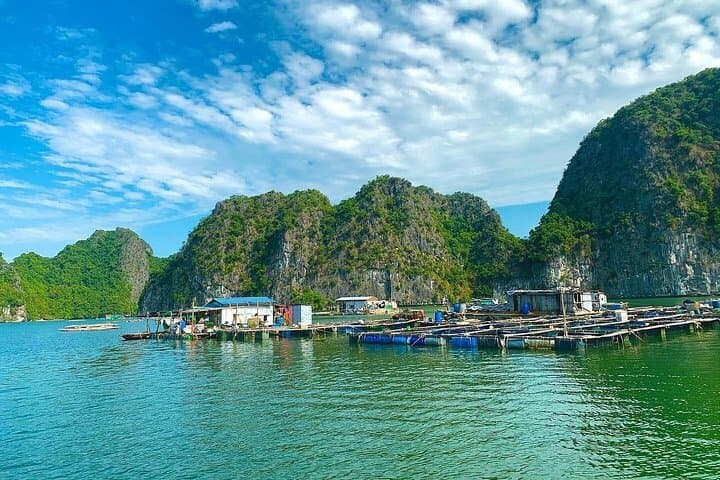 Cat Ba Sunset Kayak and Bioluminescent Plankton Night Tour photo 6