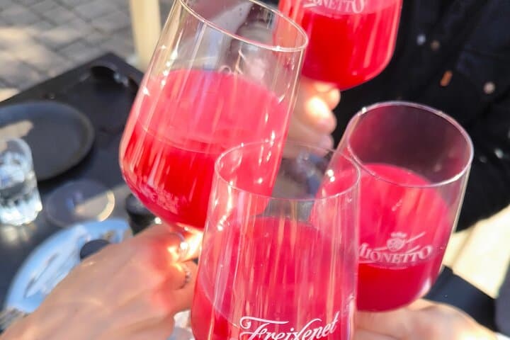 Vienna Leopoldsberg Wine Hike: Private Guided Vineyard Walk & Strum Tasting photo 3