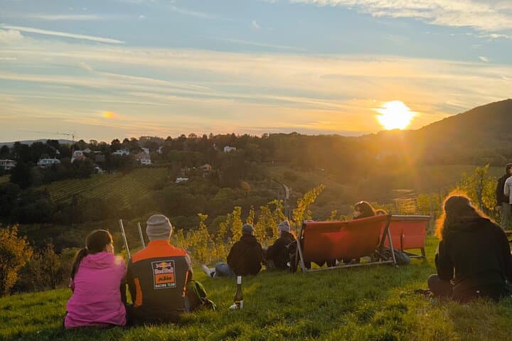 Vienna Leopoldsberg Wine Hike: Private Guided Vineyard Walk & Strum Tasting photo 5