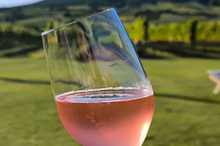 Vienna Leopoldsberg Wine Hike: Private Guided Vineyard Walk & Strum Tasting photo 6