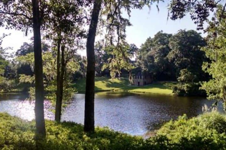 Two Charleston Plantations in One Tour: Middleton Place and Drayton Hall photo 3