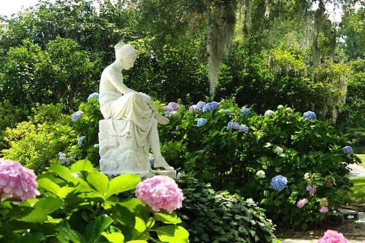 Two Charleston Plantations in One Tour: Middleton Place and Drayton Hall photo 5