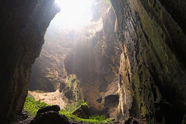 Gomantong Caves and Kinabatangan River Safari from Sandakan