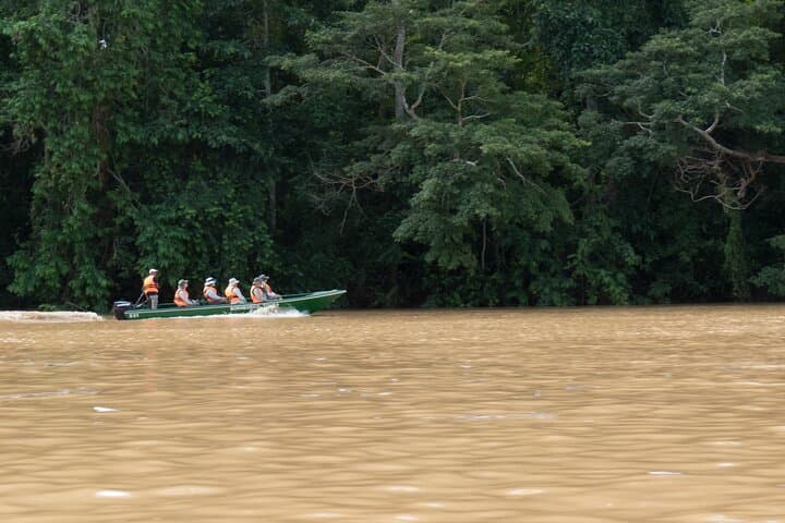 Gomantong Caves and Kinabatangan River Safari from Sandakan photo 3