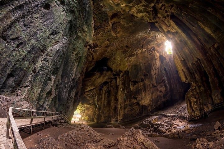 Gomantong Caves and Kinabatangan River Safari from Sandakan photo 6