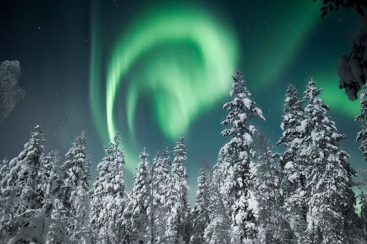 Rovaniemi Northern Lights Van Tour: Aurora Safari with Campfire photo 3