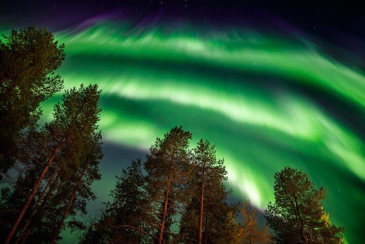 Rovaniemi Northern Lights Van Tour: Aurora Safari with Campfire photo 4