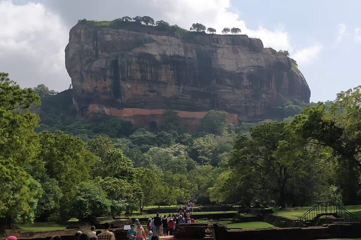 Sigiriya, Dambulla & Minneriya: A One-Day Cultural and Safari Circuit from Colombo