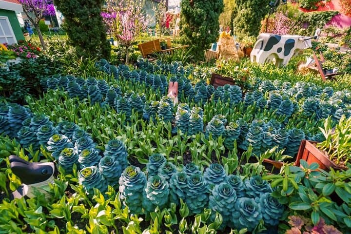 Gardens by the Bay: Cloud Forest, Flower Dome & Supertree Observatory Guide photo 2