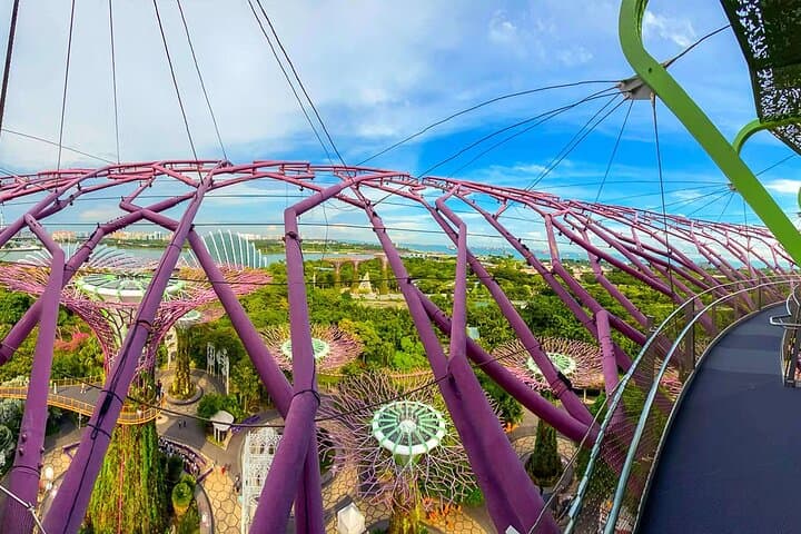 Inside Gardens by the Bay: Cloud Forest, Flower Dome & Supertree Guide photo 6