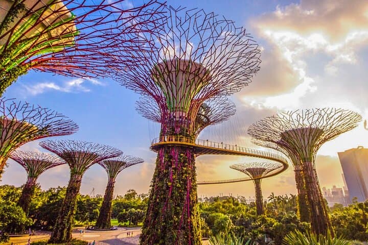 Gardens by the Bay Guide: Cloud Forest, Flower Dome & Supertree Observatory photo 3