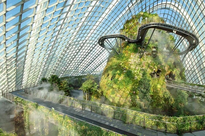 Inside Gardens by the Bay: Cloud Forest, Flower Dome & Supertree Guide