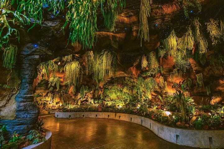 Gardens by the Bay Guide: Cloud Forest, Flower Dome & Supertree Observatory photo 5