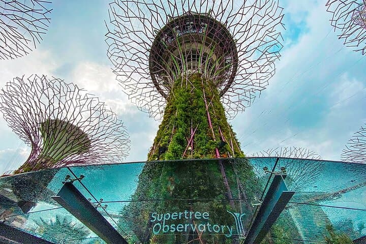 Gardens by the Bay: Cloud Forest, Flower Dome & Supertree Observatory Guide