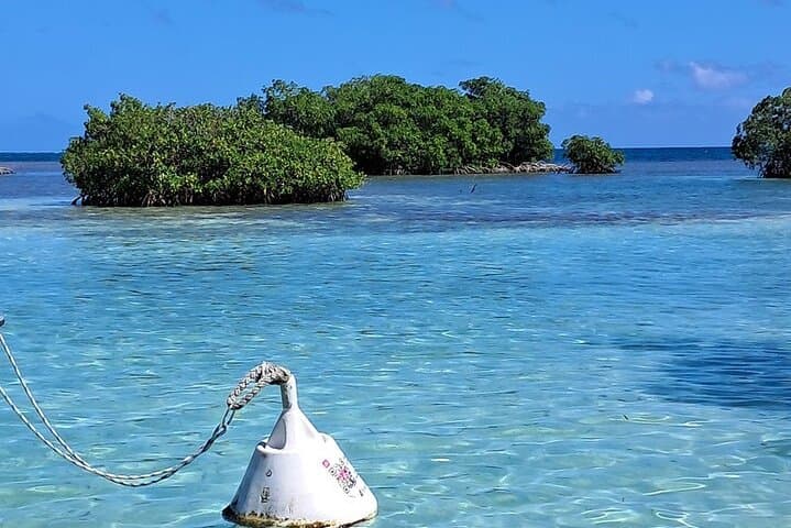 Half-Day Boat Trip in Grand Cul-de-Sac Marin, Guadeloupe photo 2