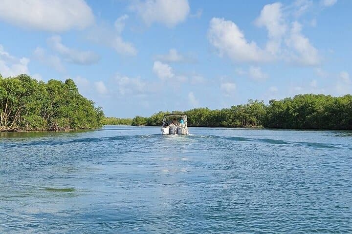 Half-Day Boat Trip in Grand Cul-de-Sac Marin, Guadeloupe photo 4
