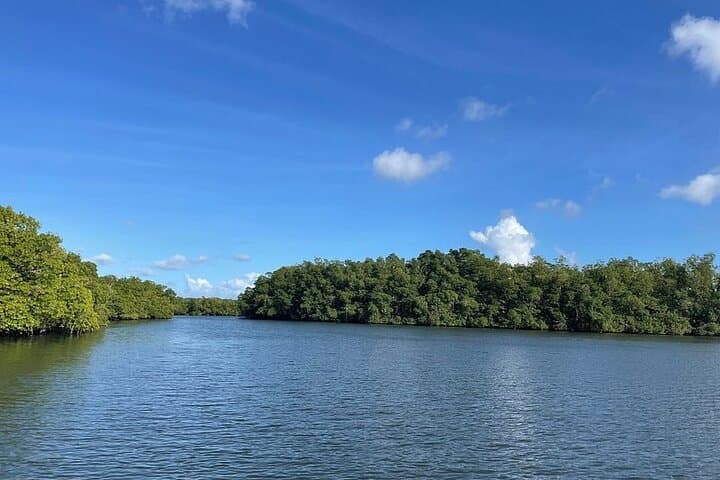 Half-Day Boat Trip in Grand Cul-de-Sac Marin, Guadeloupe photo 5