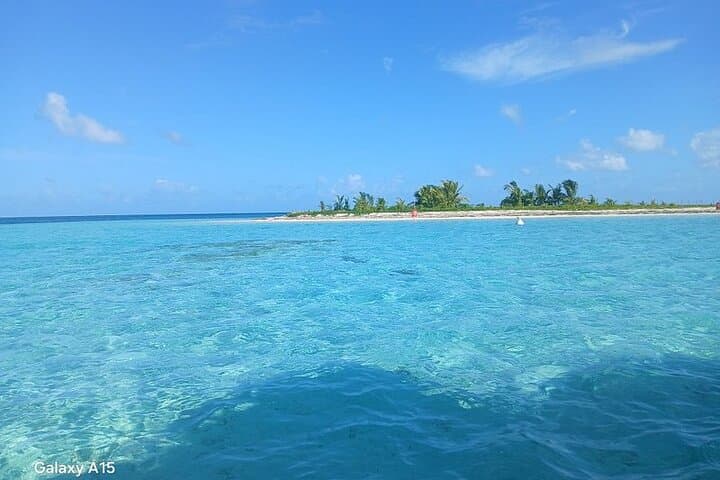 Half-Day Boat Trip in Grand Cul-de-Sac Marin, Guadeloupe photo 6