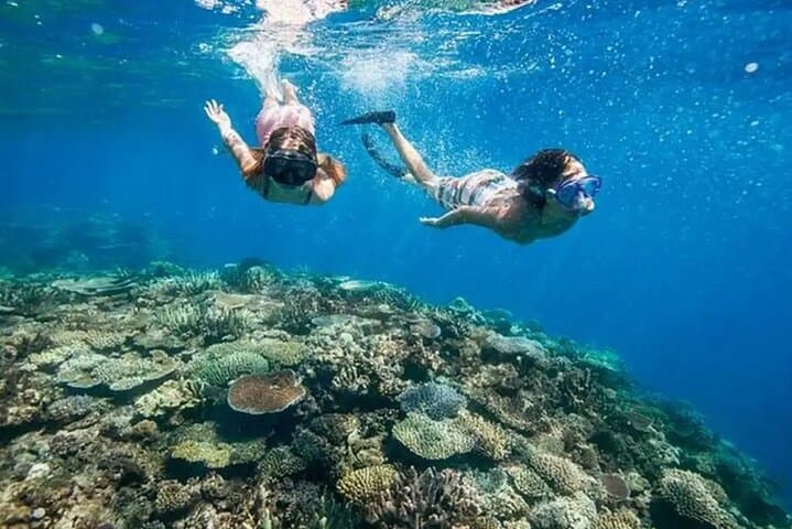 Snorkel Blue Lagoon & Tanjung Jepun: All-Inclusive Bali Reef Adventure photo 4