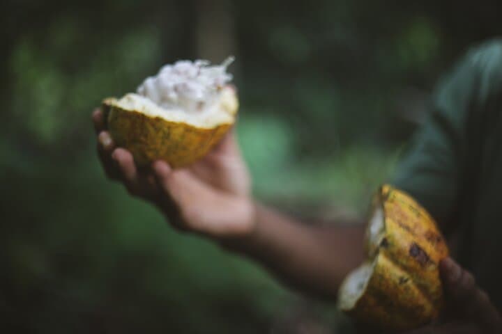 Caribbean Rum and Chocolate Pairing in Puerto Viejo: A Sensory Tasting Experience photo 3