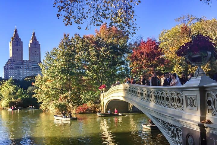 Central Park Intervention: Two-Hour Guided Walking Tour of Manhattan's Green Heart photo 4