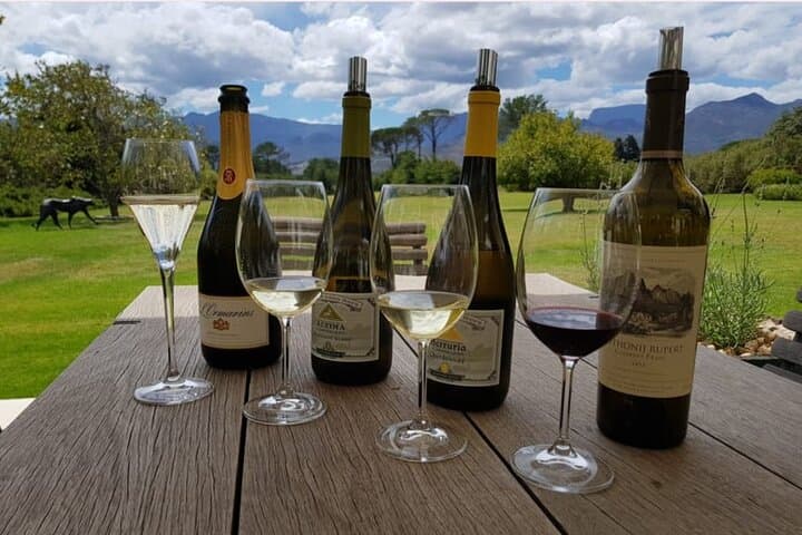 Whales, Penguins & Wine: Hermanus Boat Watching and Benguela Cove Tasting photo 3