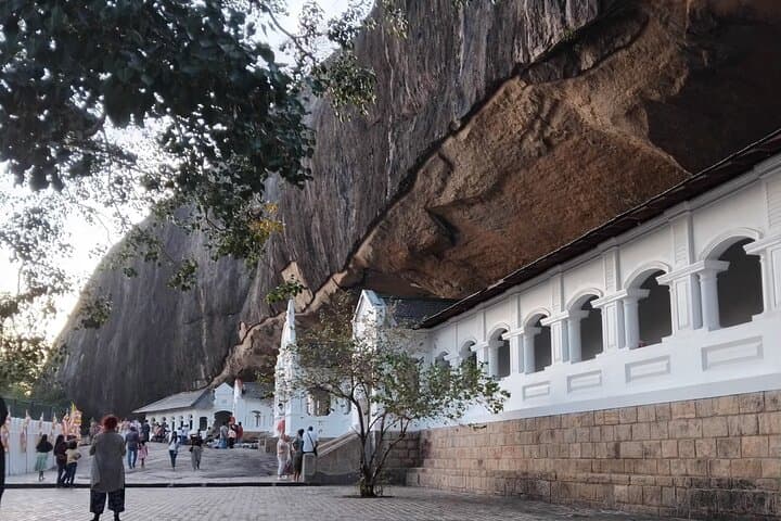 Sigiriya, Dambulla & Minneriya: A One-Day Cultural and Safari Circuit from Colombo photo 5