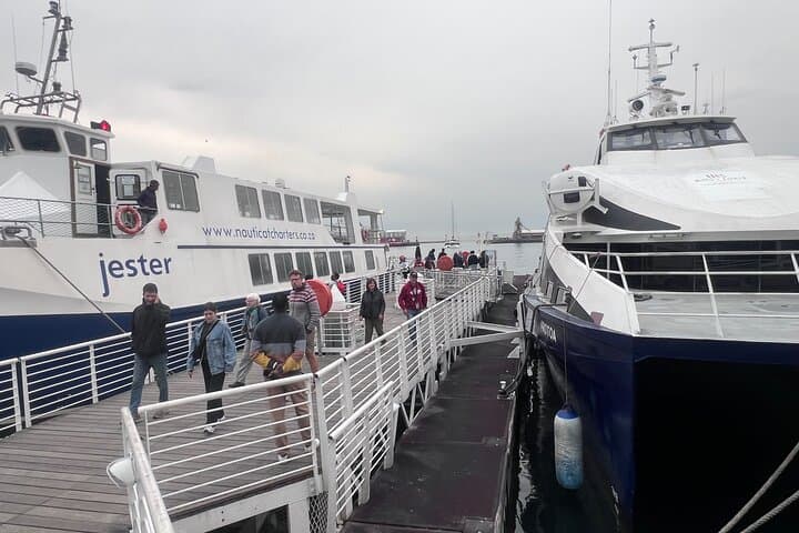 Robben Island Half-Day Tour from Cape Town with Transfers photo 4