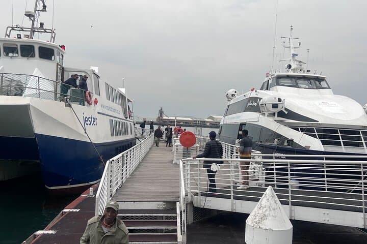 Robben Island Half-Day Tour from Cape Town with Transfers photo 5
