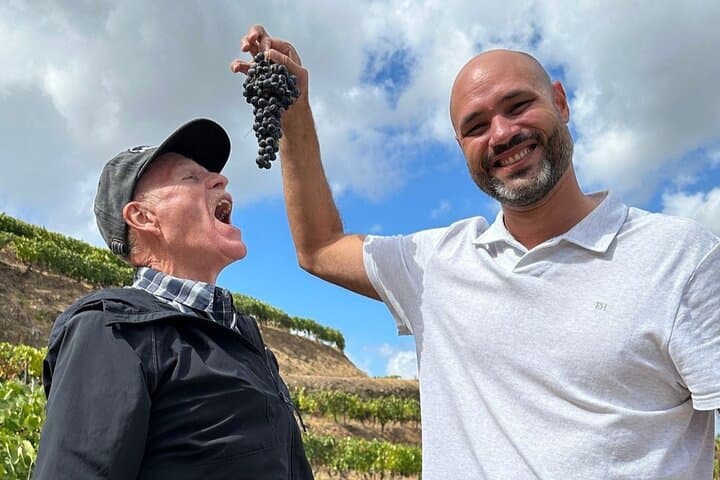 Douro Valley Premium Wine Tour: Winery Visits, Lunch & Private Pinhão Cruise photo 2