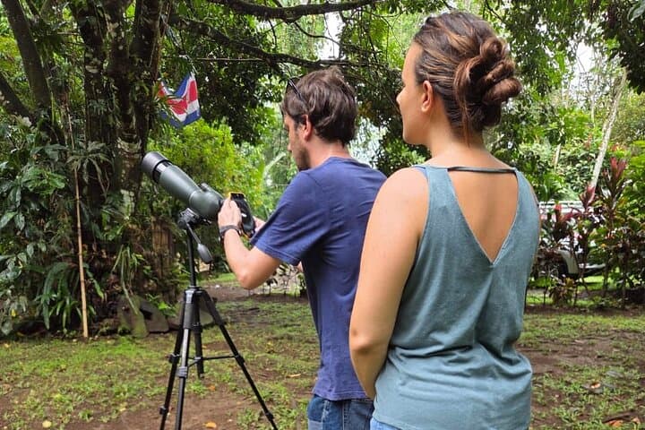 Sloth Observation and Tropical Fruit Tasting Hike on Costa Rica's Caribbean Coast photo 3