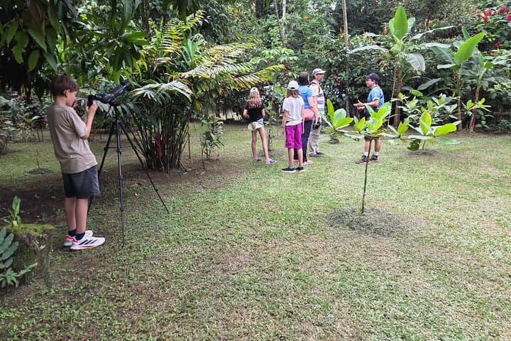 Sloth Observation and Tropical Fruit Tasting Hike on Costa Rica's Caribbean Coast photo 6