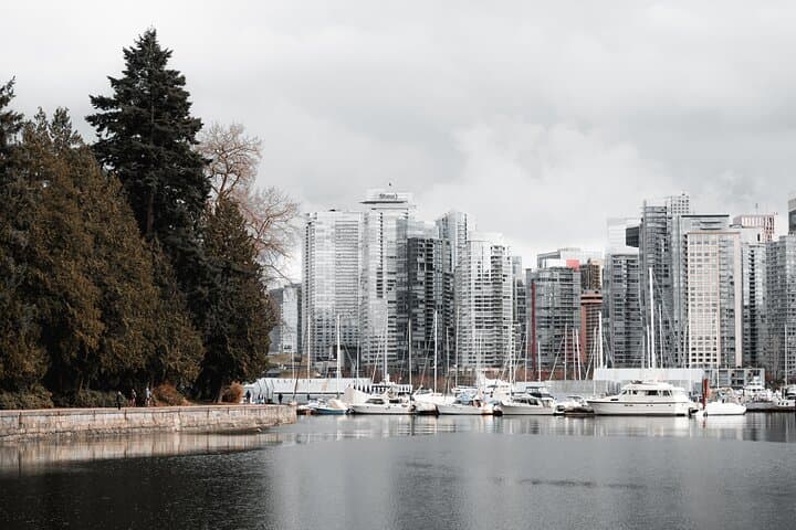 Stanley Park Self-Guided Walking Tour: Seawall, Totems & Forest Trails photo 2