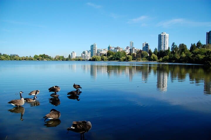 Stanley Park Self-Guided Walking Tour: Seawall, Totems & Forest Trails photo 4