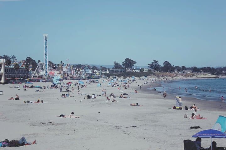 San Francisco to Santa Cruz Day Trip — Redwoods, Surf and the Santa Cruz Boardwalk photo 5