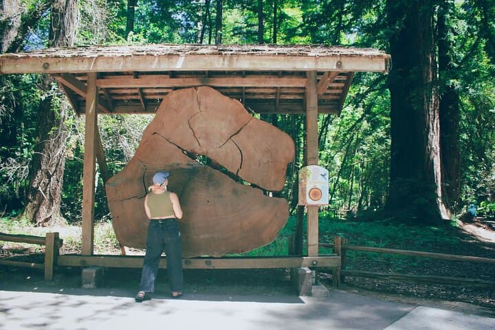 San Francisco to Santa Cruz Day Trip — Redwoods, Surf and the Santa Cruz Boardwalk photo 6