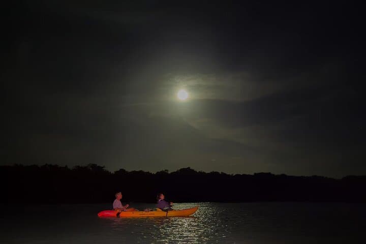 Night Mangrove Kayak Tour in Lac Bay — Bioluminescence & Nocturnal Wildlife photo 4