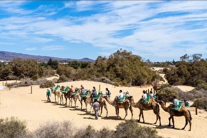 Agadir Camel Ride through Sand Dunes — 2‑Hour Desert Experience with Mint Tea