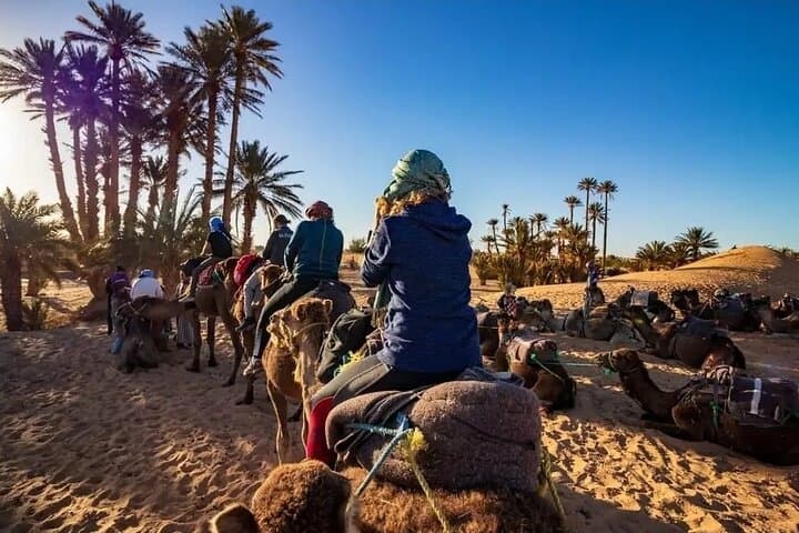 Agadir Camel Ride through Sand Dunes — 2‑Hour Desert Experience with Mint Tea photo 2