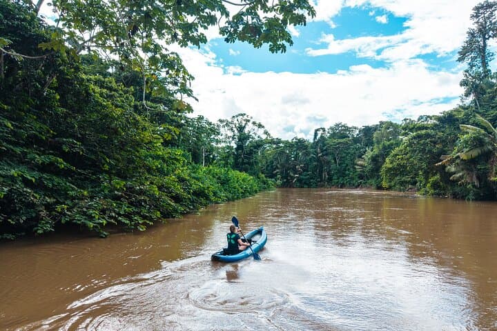 5-Day Amazon Camping and Kayaking in Yasuni National Park, Ecuador photo 6