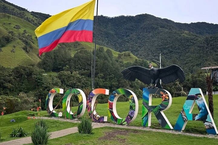 Cocora Valley & Coffee Farm Private Tour: Wax Palms, Tasting, and Salento