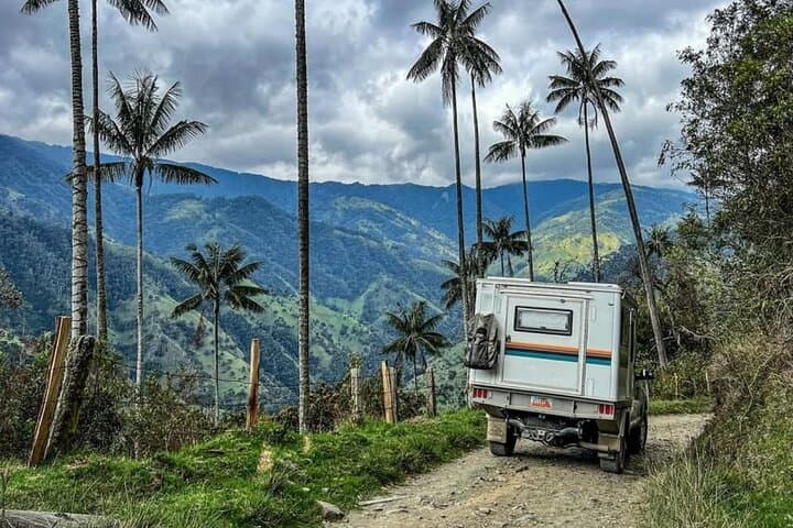 Cocora Valley & Coffee Farm Private Tour: Wax Palms, Tasting, and Salento photo 2