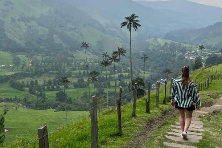 Cocora Valley & Coffee Farm Private Tour: Wax Palms, Tasting, and Salento photo 3