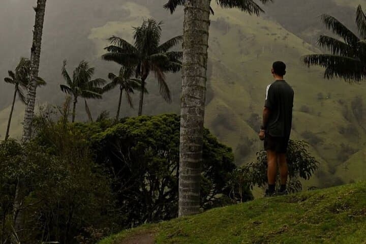 Cocora Valley & Coffee Farm Private Tour: Wax Palms, Tasting, and Salento photo 4